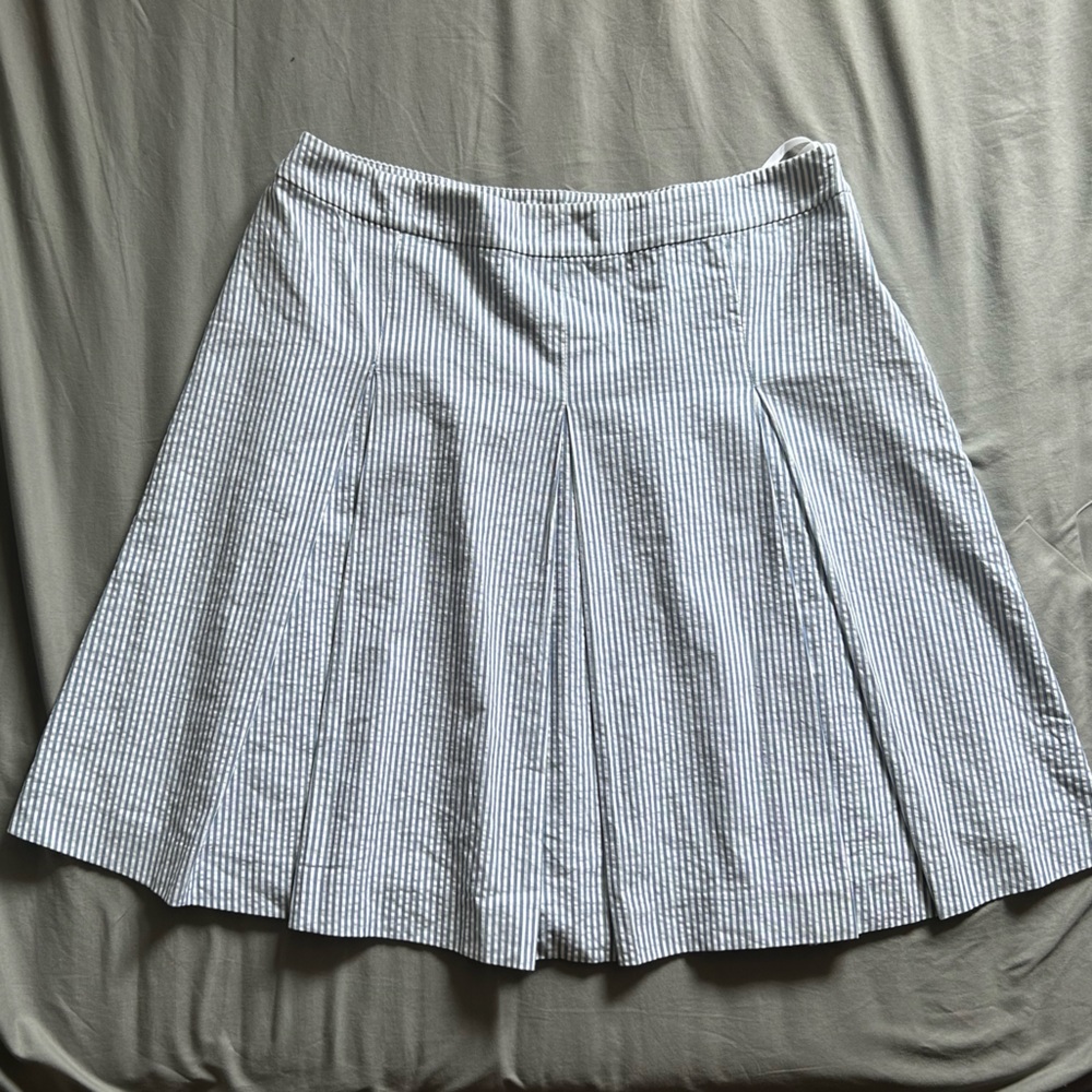 Blue & White Skater Skirt
